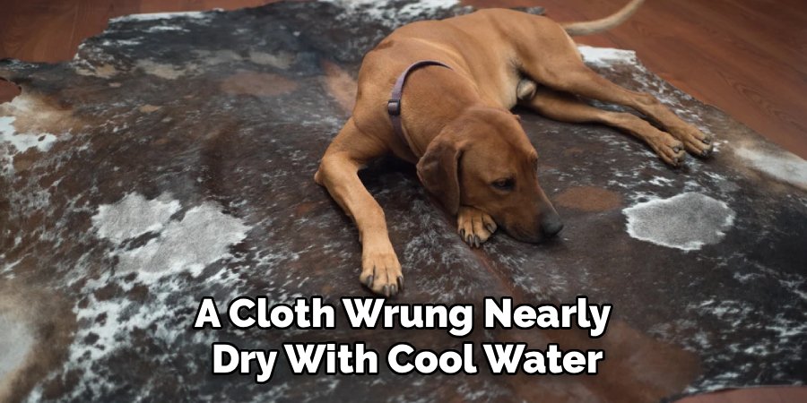 A Cloth Wrung Nearly 
Dry With Cool Water