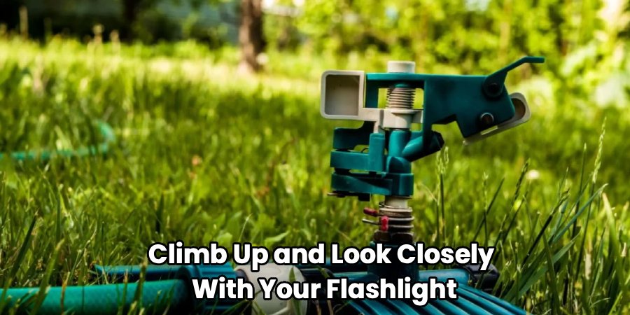 Climb Up and Look Closely
 With Your Flashlight