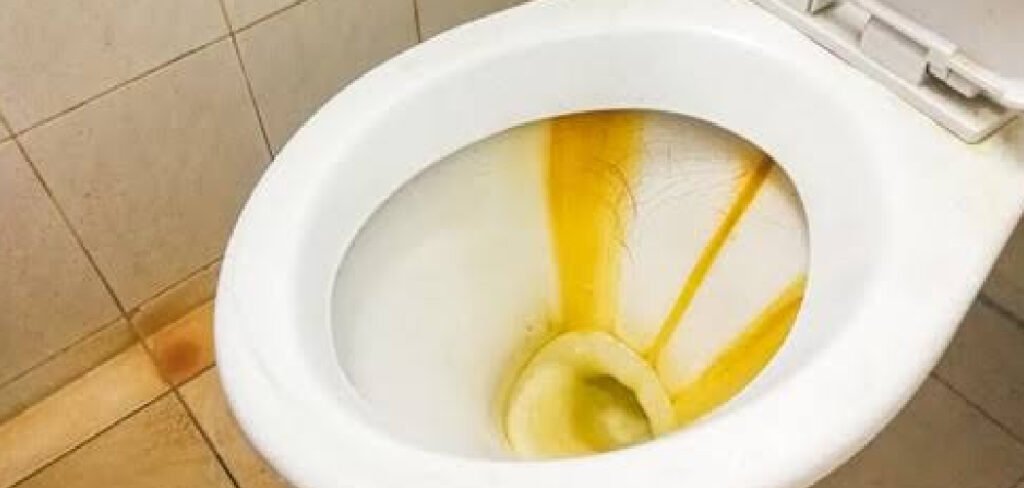 How to Clean Rust in a Toilet Bowl