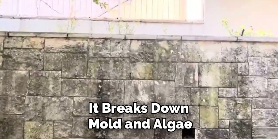 It Breaks Down Mold and Algae