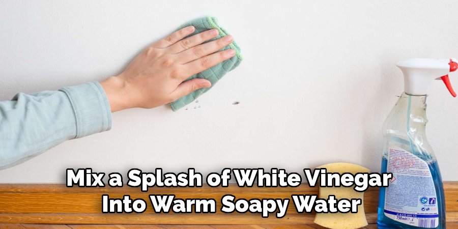 Mix a Splash of White Vinegar 
Into Warm Soapy Water