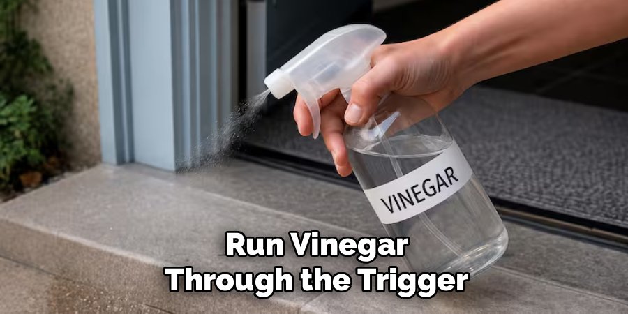 Run Vinegar Through the Trigger