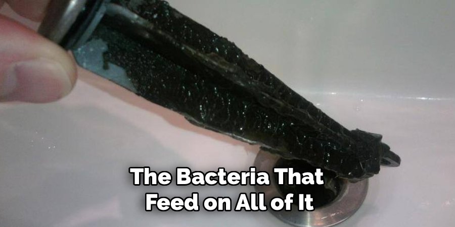The Bacteria That 
Feed on All of It