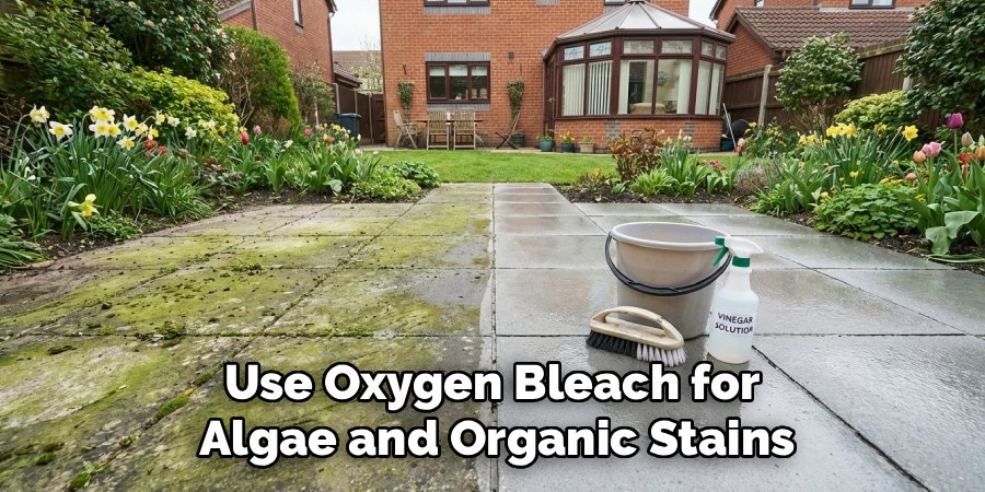 Use Oxygen Bleach for 
Algae and Organic Stains