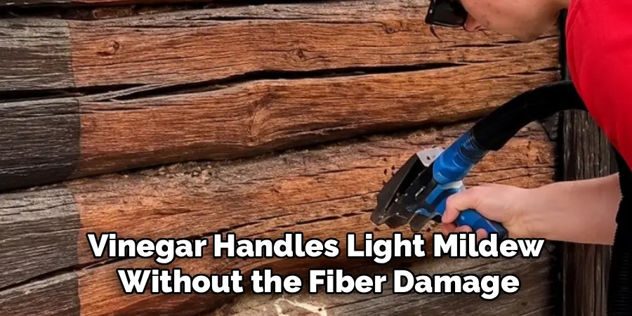 Vinegar Handles Light Mildew 
Without the Fiber Damage
